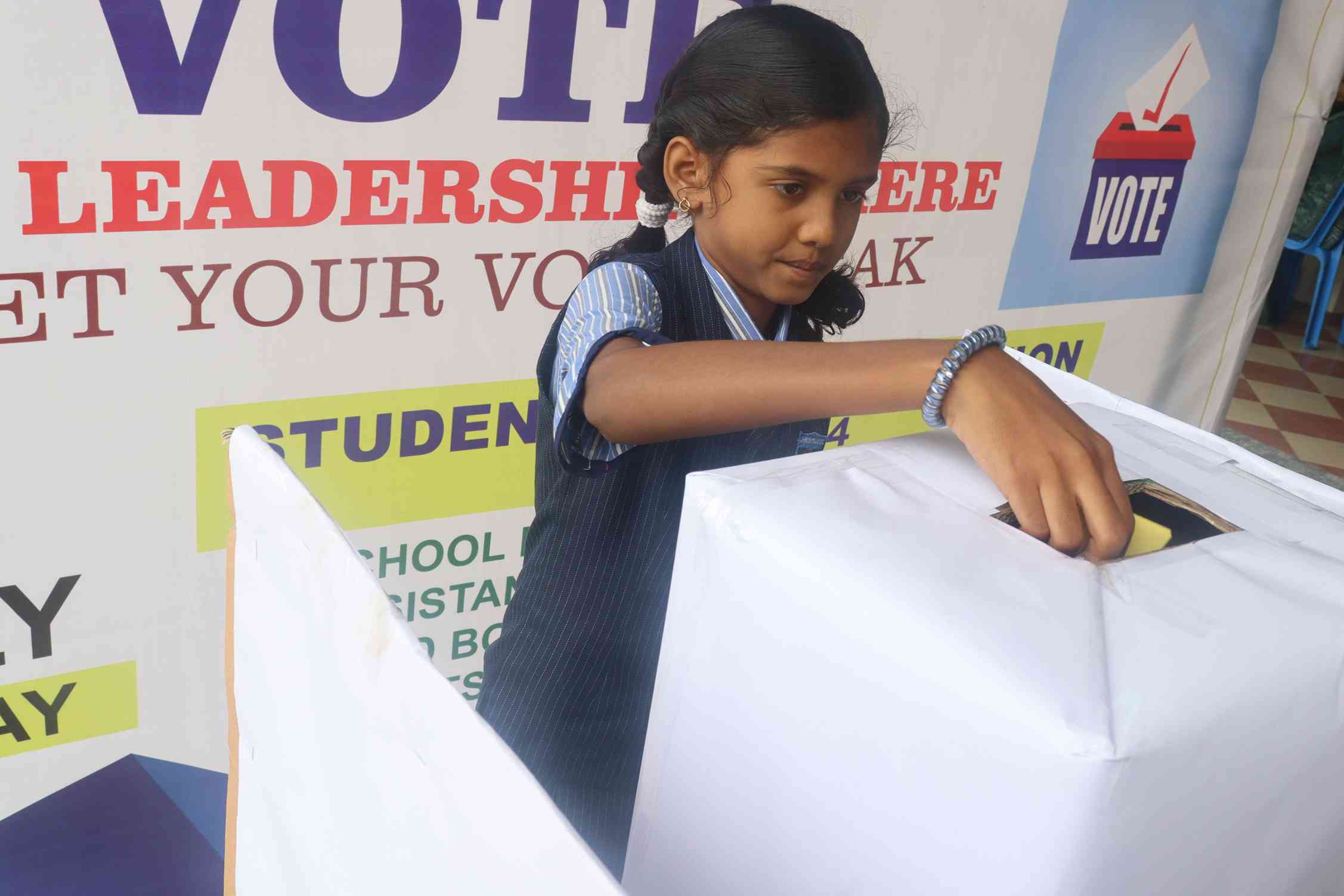 Read more about the article School Elections